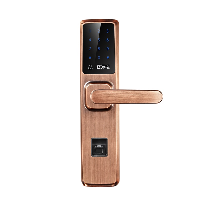 大华乐橙指纹锁密码锁家用防盗门智能锁电子门锁磁卡锁K4s