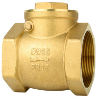 海斯迪克 gnjz-20 黄铜内螺纹止回阀 硬密封内丝隔膜 卧式旋启式手动逆止阀单向阀 DN65 2-1/2