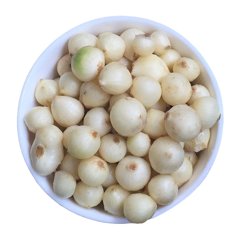 2.5kg 农家团葱新鲜苦藠小葱头蔬菜藠头韭母子九小蒜苦荞薤白苦茭根蒜