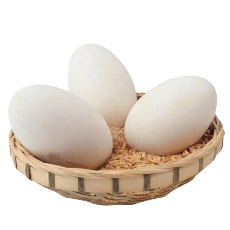 鹅蛋农家 纯新鲜的鹅蛋特大 鹅蛋大狮头 6枚120-140g/个