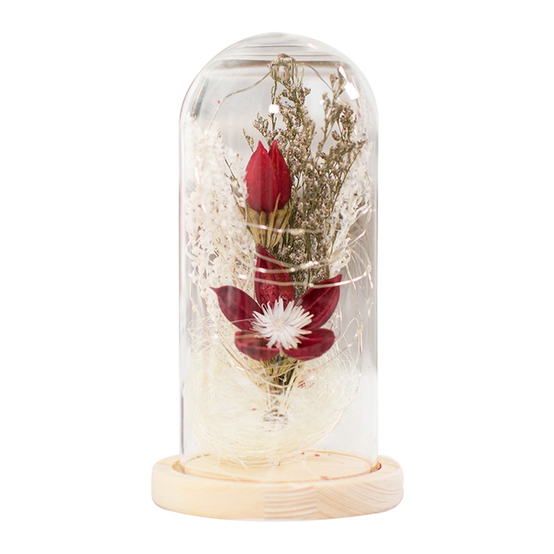 星扉 玻璃罩干花花束绿植摆件 情人节礼物生日送女友 妈妈生日礼物 教师节毕业礼物送老师 办公室家居摆件 满天星太阳花红色