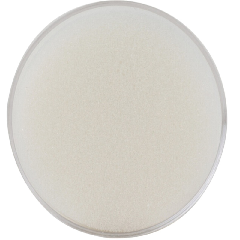 得力(deli)9102海绵缸(透明)(只)