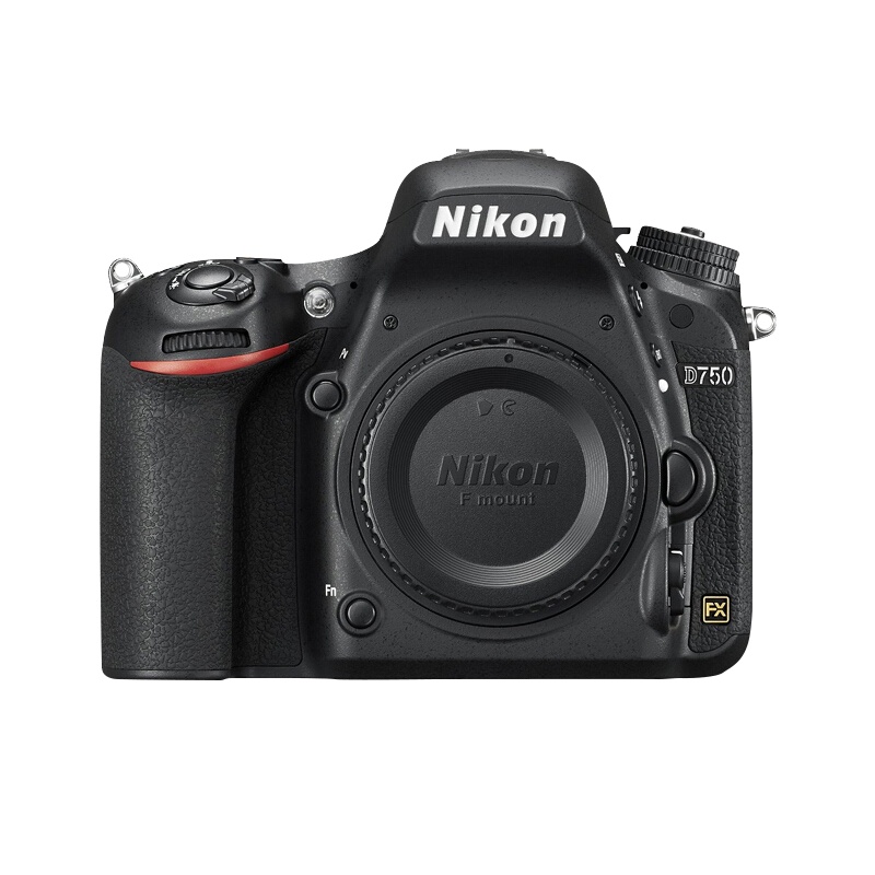 尼康（Nikon） d780 全画幅单反相机数码照相机单机身套机 单机身(不含镜头 三滤镜 遮光罩)