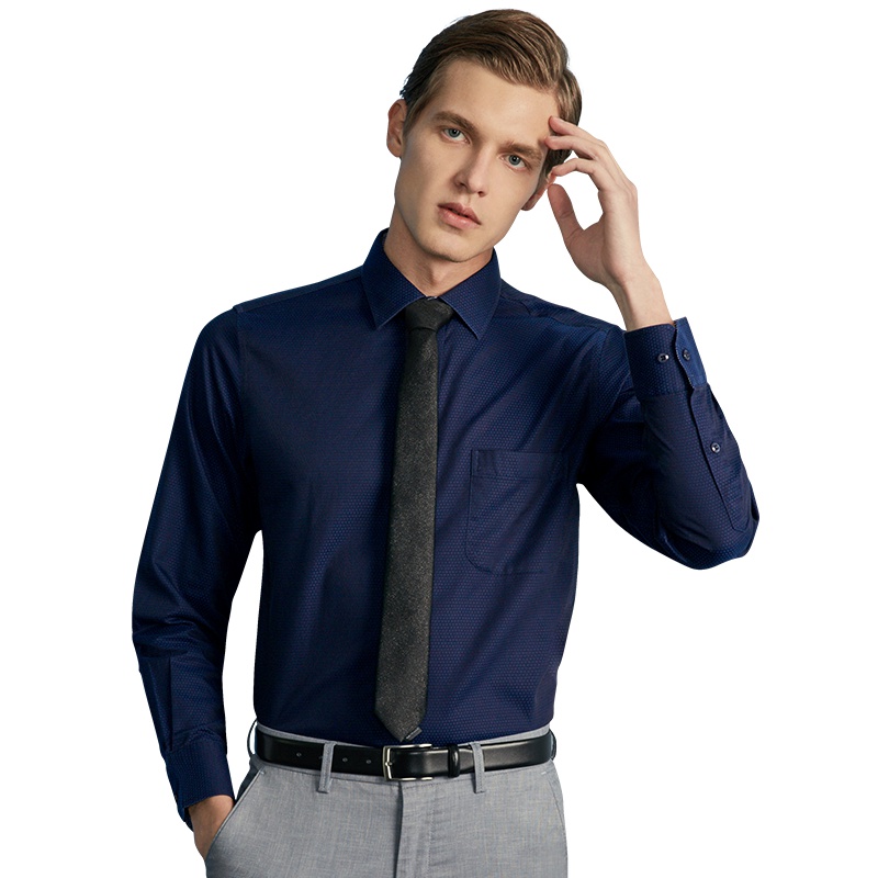 红豆旗下高端品牌轩帝尼(HETINNE)男装2019春夏新款轻奢商务男装DP免烫波点提花长袖男式衬衫