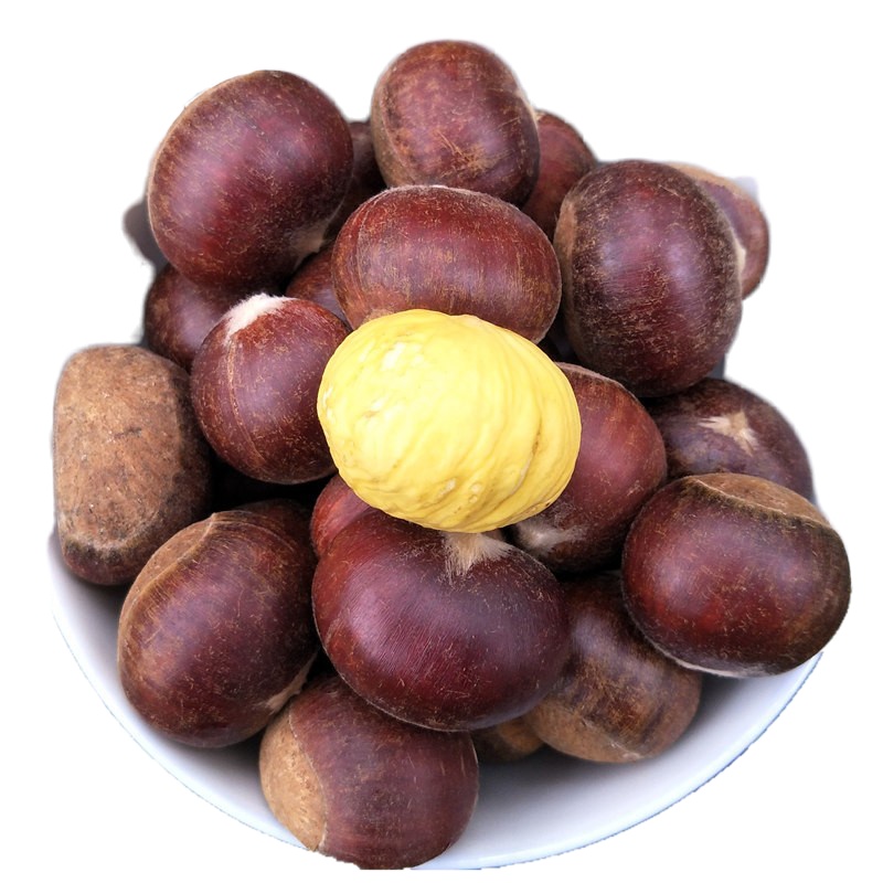 1500g 新鲜生板栗 带壳油栗毛栗子