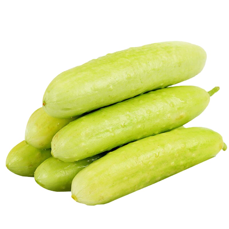 白玉黄瓜白皮黄瓜青瓜新鲜水果黄瓜 2.5kg 一箱