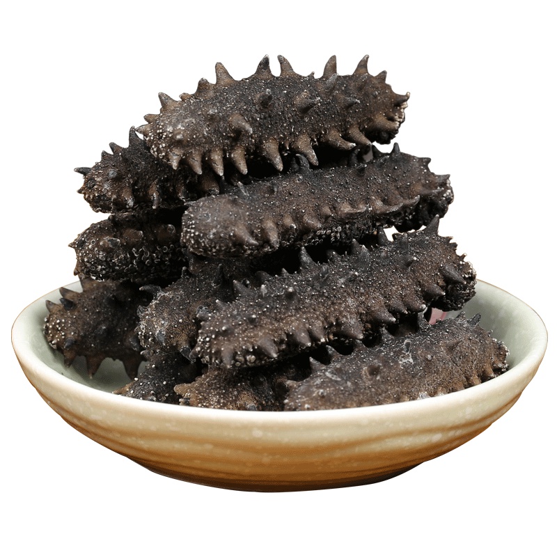 神龙岛7A淡干海参50g 6-10只 刺参海参干货