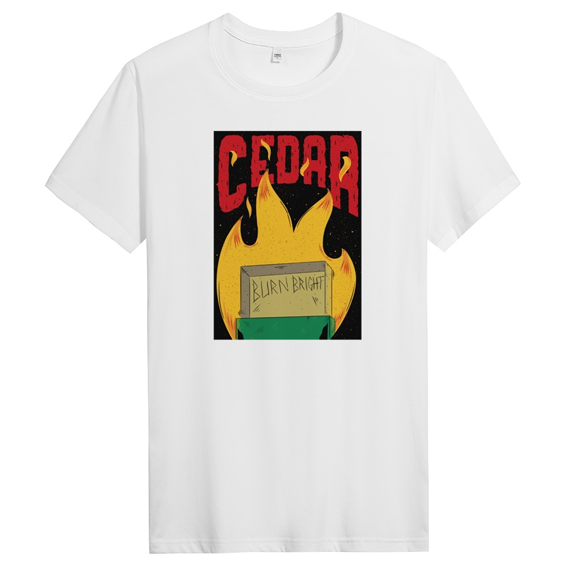 纯棉短袖t恤男潮流夏季体恤圆领男士半袖宽松男生修身 DT11477