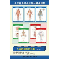   人体解剖挂图套装(7张)刘荣珍北京科学技术出版社97830473733 9787530473733