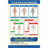   人体解剖挂图套装(7张)刘荣珍北京科学技术出版社97830473733 9787530473733