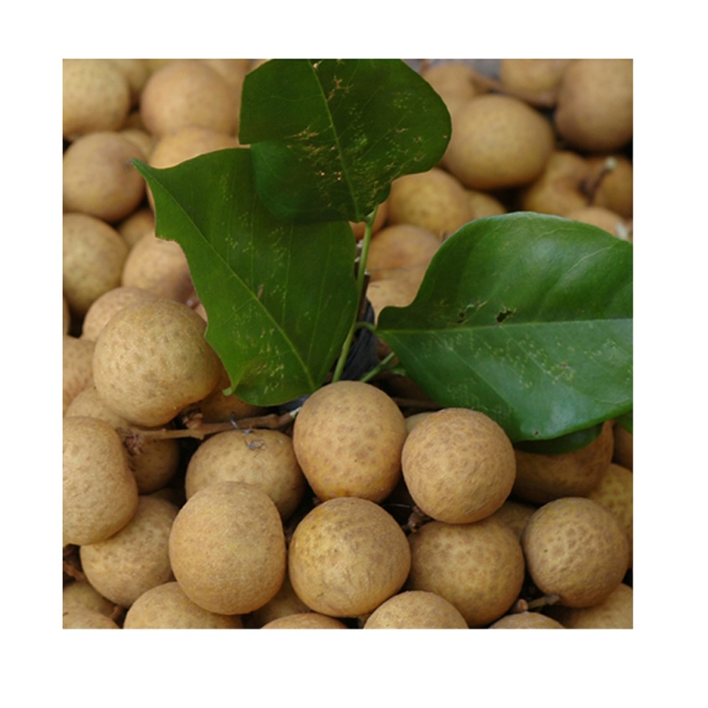 野藤 桂圆干4000g袋装 肉质饱满 龙眼干 炖汤 干桂圆 肉厚核小 400g桂圆干