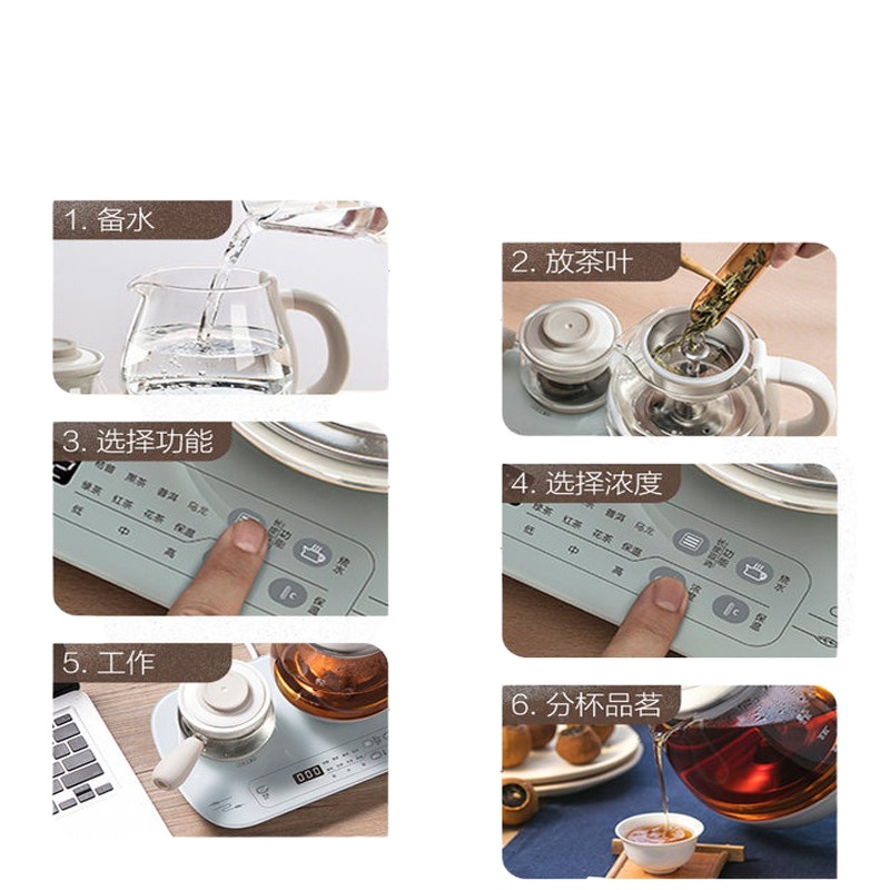 小熊ZCQ-A08E1 0.8L煮茶器耐热玻璃全自动蒸汽