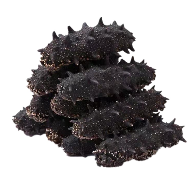 君旺海鲜 淡干海参大连特产底播50g6年龄以上辽参刺参海鲜水产干货