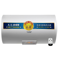 A.O.史密斯电热水器CEWH-60P10C+