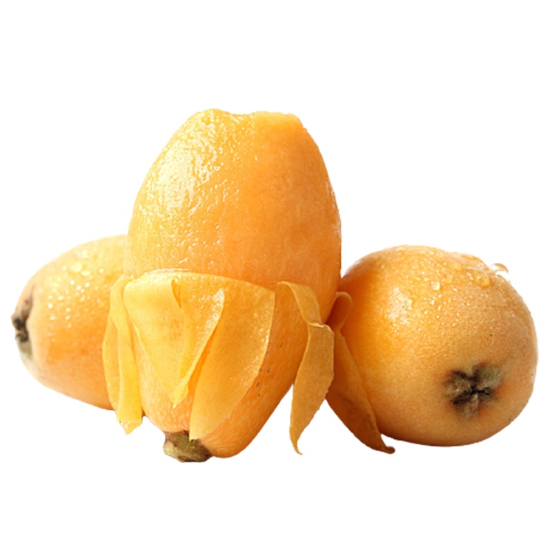 [西沛生鲜]顺丰免邮 福建云霄枇杷 新鲜琵琶果 净重3斤装 中果 现摘现发 新鲜水果 应季生鲜 西沛