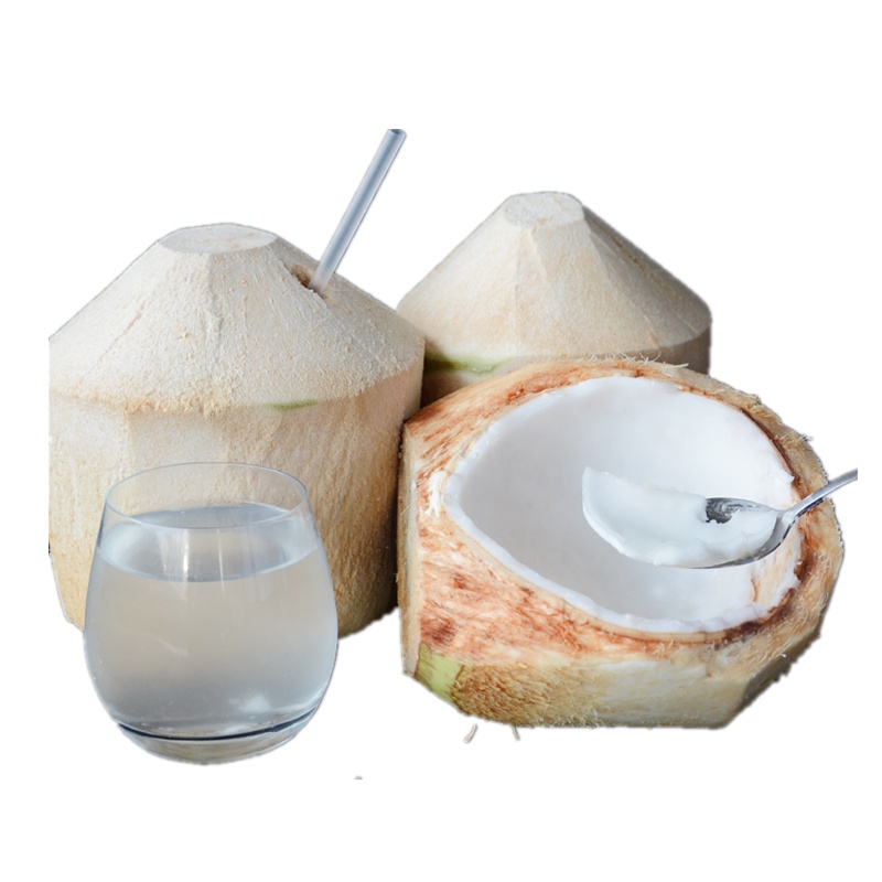 海南青椰子去皮椰青4个装配吸管开椰器新鲜椰汁非进口椰子