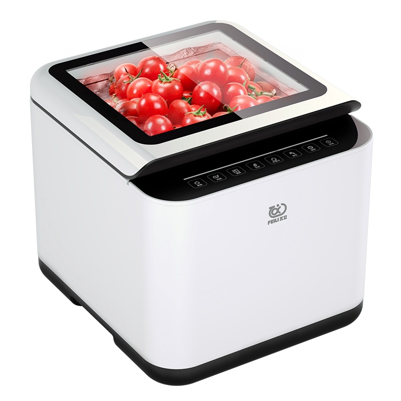 飞立FL-C08Z果蔬清洗机家用超声波洗菜机消毒水果蔬菜自动食材净化机