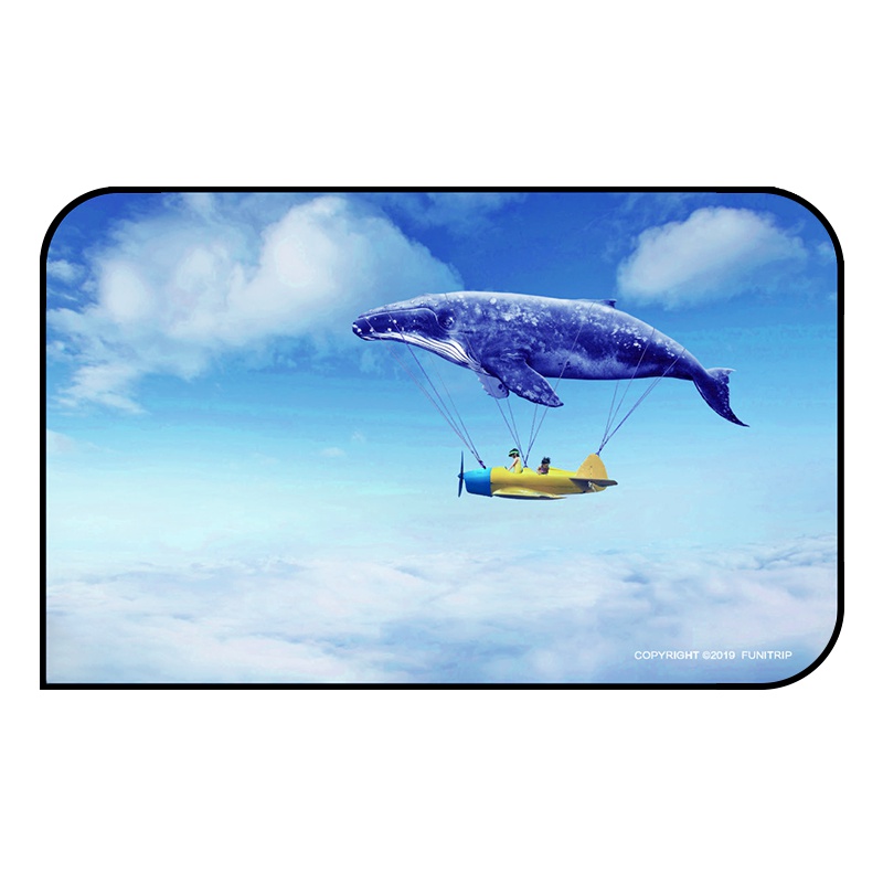 趣行 汽车遮阳帘 磁性车用窗帘 通用型车载防晒隔热侧车窗遮阳挡 小飞行家-后排窗户单片