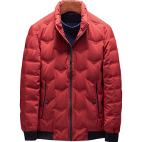 雅鹿男装冬季立领男士羽绒服男款外套中年加厚防寒服AC49EDYA18819