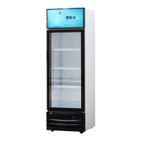 商用单门冰柜立式冷藏冷冻玻璃门展示柜 饮料柜冷柜 厨房冰箱 保鲜柜 留样冰箱
