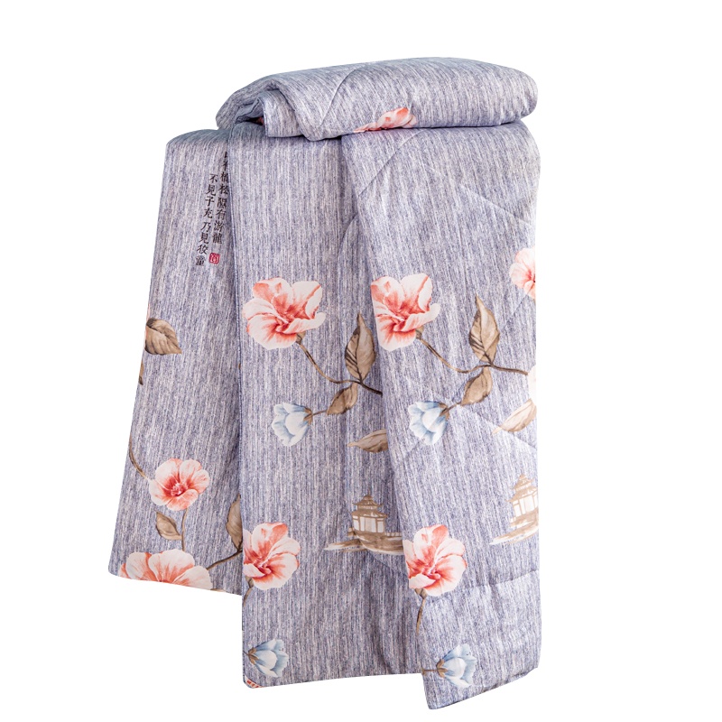 良仁优品(Liangrenyoupin) LRYX-051 安迪棉花被被子