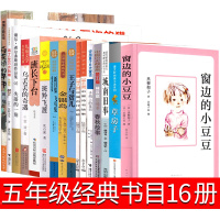 五年级窗边的小豆豆房子城南旧事春秋故事金银岛班长斑羚飞渡失落的一角中国古代诗书与贤哲正版书南海出版社课外阅读书籍
