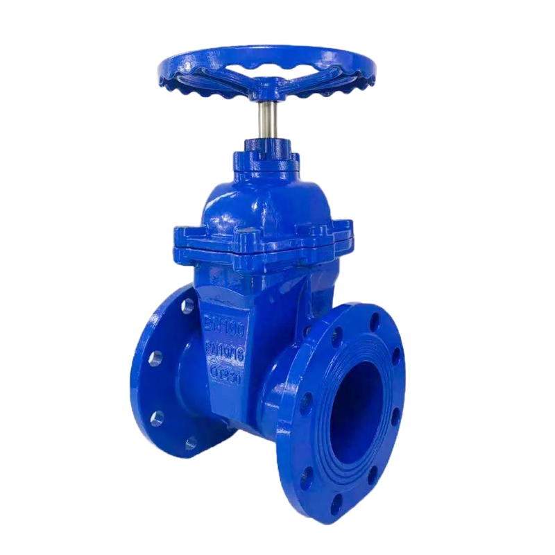 欧隆 法兰闸板阀 DN100(带螺丝)-xzc