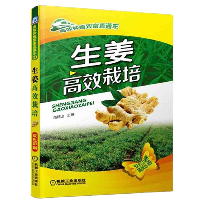 高效种植致富直通车 生姜高效栽培 生姜无公害出口栽培技术 有机生姜栽培技术 生姜主要病虫草害诊断与防