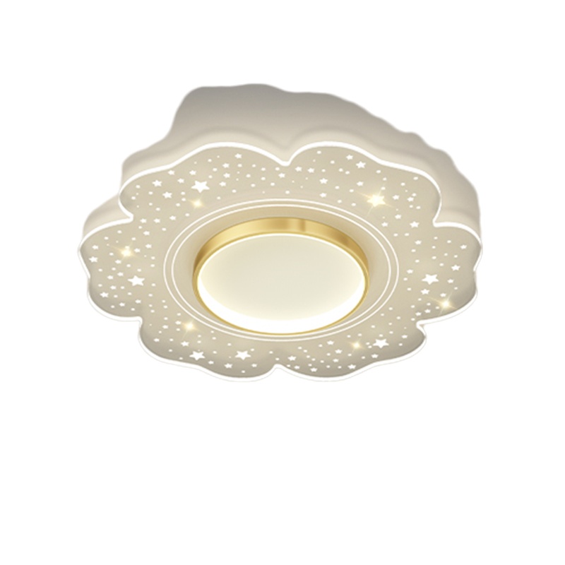 现代简约吸顶灯北欧后现代主卧室灯个性创意亚克力花朵餐厅书房led灯饰