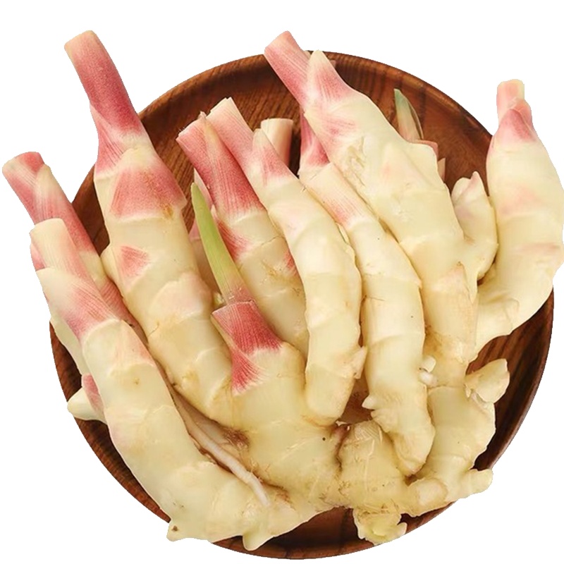 山东红芽生姜小黄姜带箱 3斤仔姜当季整姜嫩姜糖醋姜蔬菜