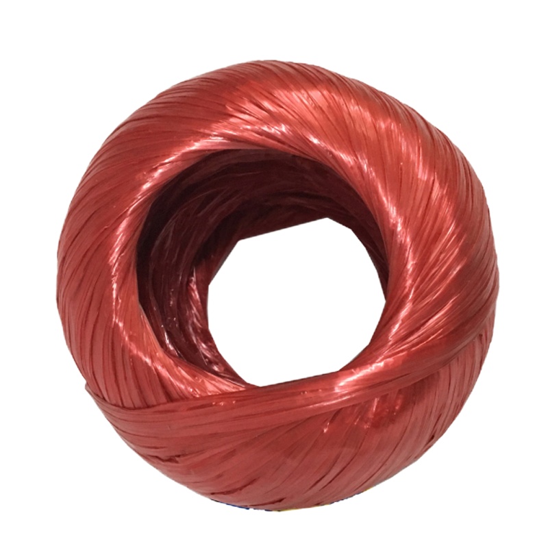 三清 丝力带 5卷装