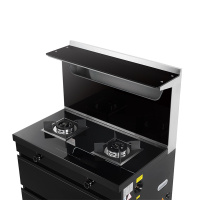 大臣(Dachen)集成灶JJZT-W900C 液化气 集成环保灶 烟灶消一体 套餐