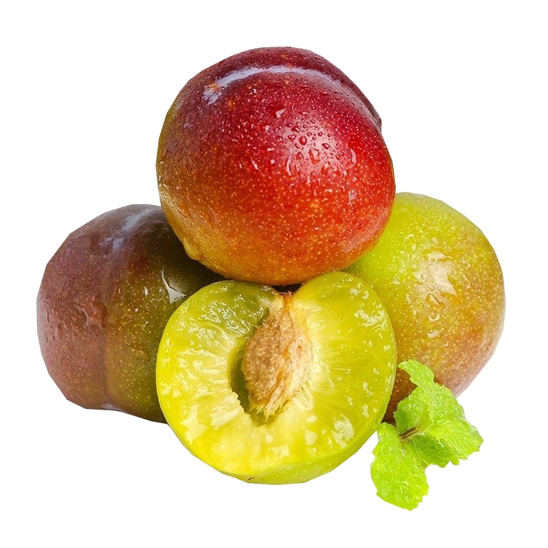 [五个农民]茵红李特大果四川脆红李新鲜现摘5斤约70颗应季水果