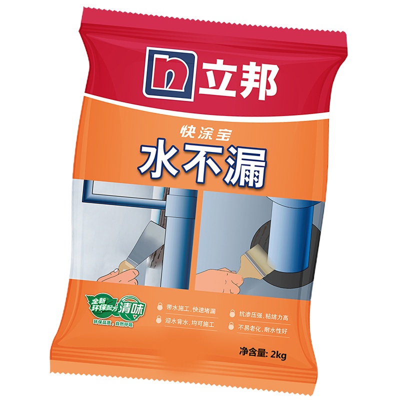 堵漏王 防水宝 水不漏快涂宝 堵漏灵快干水泥 2kg1包