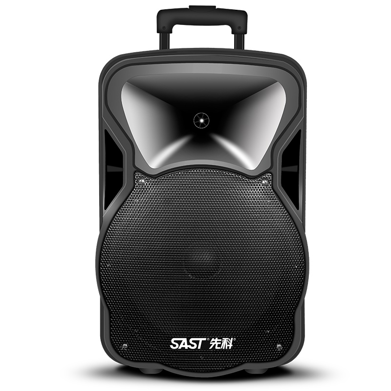 先科（SAST） 广场舞音响蓝牙拉杆音箱 户外便携式音响 12英寸大功率低音炮 KTV扩音器带麦克风