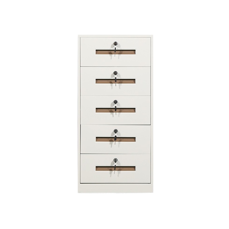 臻远钢制带锁铁皮柜资料柜储物柜 五抽白色