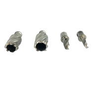 恒锋工具(EST) 恒锋 工务用钢轨钻头 直径13.5mm