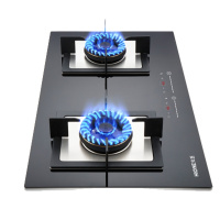 新品 火王(Hione) 触屏灶燃气灶2X1/B定时嵌入式触摸屏燃气灶钢化玻璃燃气灶灶具一级能效4.5KW大火力