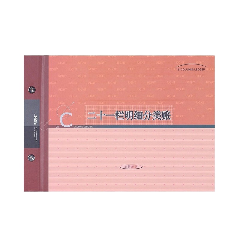 【苏宁宜品】莱特二十一栏明细分类账记账做账本 财务专用多栏式活页账帐本（一本装）