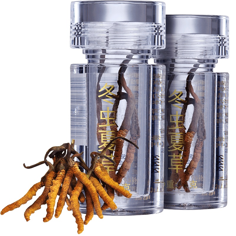 同仁堂冬虫夏草-40-2克