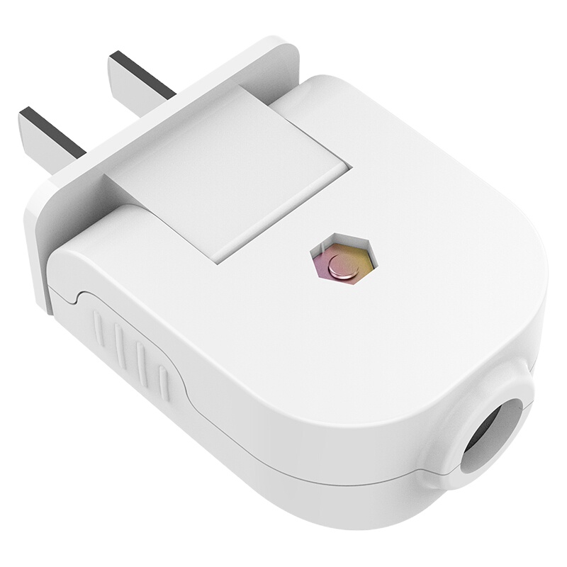 公牛 GNT-10L1二脚插头250V-10A白色/15只