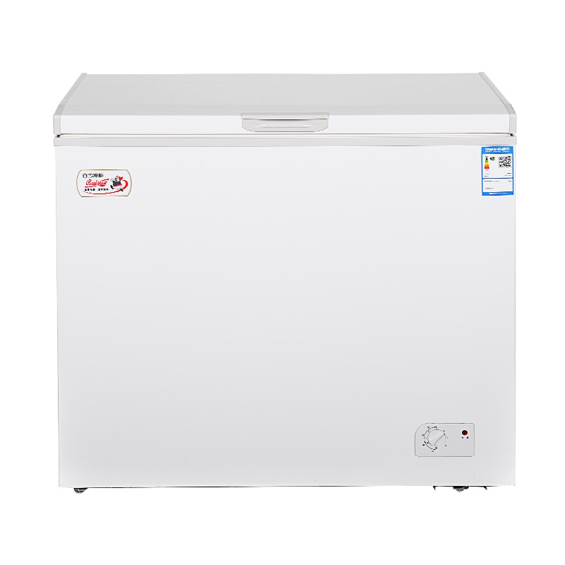 白雪(Baixue) BD/C-221DS商用家用冰柜 卧式冷柜 顶开门 小冰柜 冷冻冷藏转换小冷柜