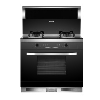 板川(SAKACO)集成灶风情E20ZK家用蒸箱烤箱一体自动清洗侧吸下排油烟机燃气灶厨房套装天然气