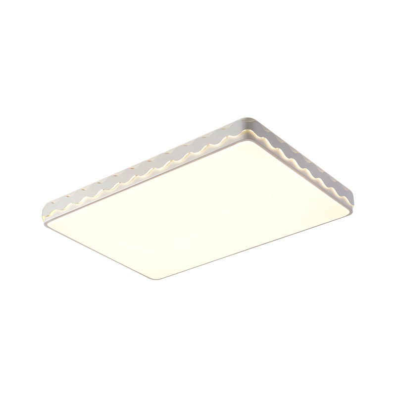 华艺照明现代简约led吸顶灯大气客卧灯组合铁艺亚克力IX172