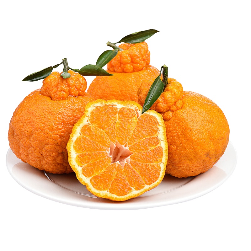 四川不知火丑橘丑柑大果5斤装 丑八怪水果