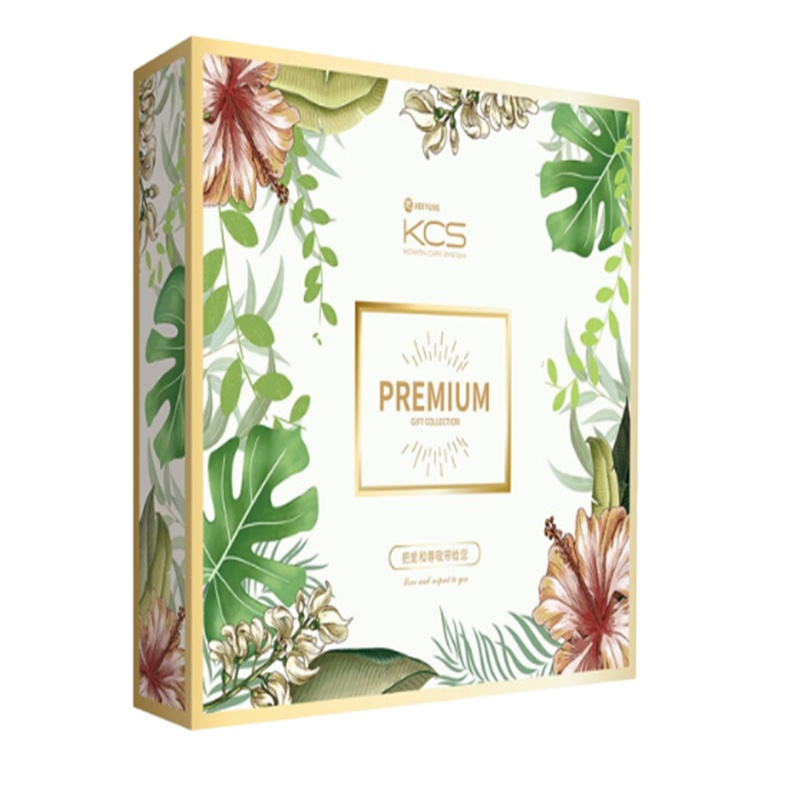 爱敬 尊贵顺滑手礼A(洗护)([爱敬]可希丝尊贵顺滑洗发露200ml*1 [爱敬]可希丝尊贵顺滑护发素200m*1)