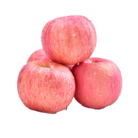 陕西洛川 红富士苹果5斤大果礼盒装