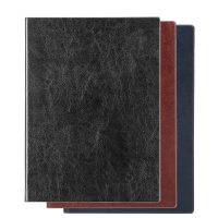 得力 SQ 3185 16K160张加厚商务皮面本办公用品