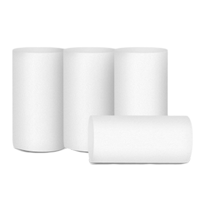 洁柔CJ053-01金尊卷纸10+2卷卫生纸4层加厚100g/卷1200克/提无芯实心卷筒纸家庭装厕纸母婴适用