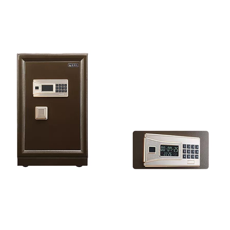 威盾斯(WEIDUNSI) 朗威系列II BGX-5/D1-100T5 保管箱(七包服务)